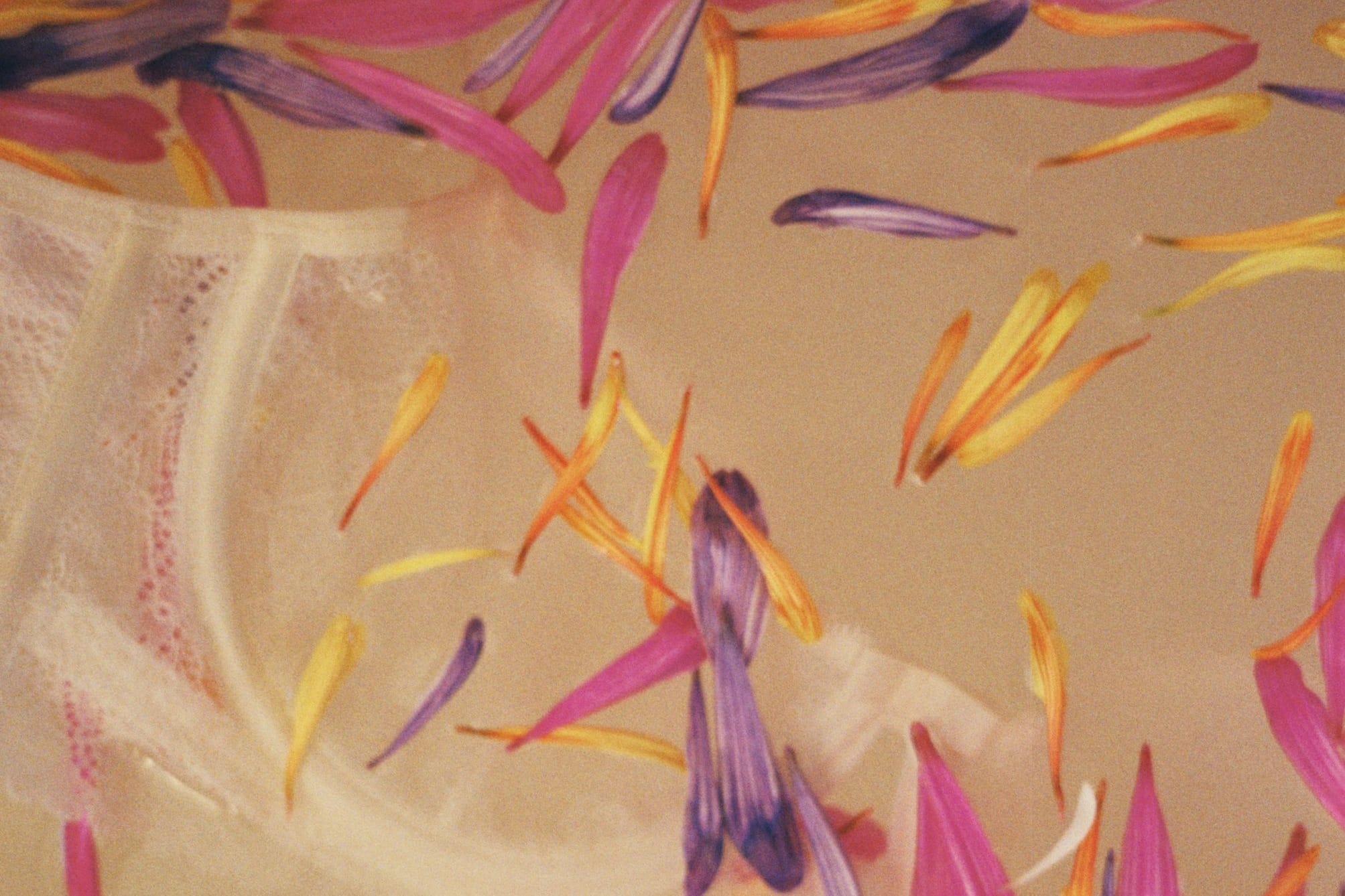 A cream lace bra lying under a scatter of pink, purple and yellow petals, soft-focused on warm ground